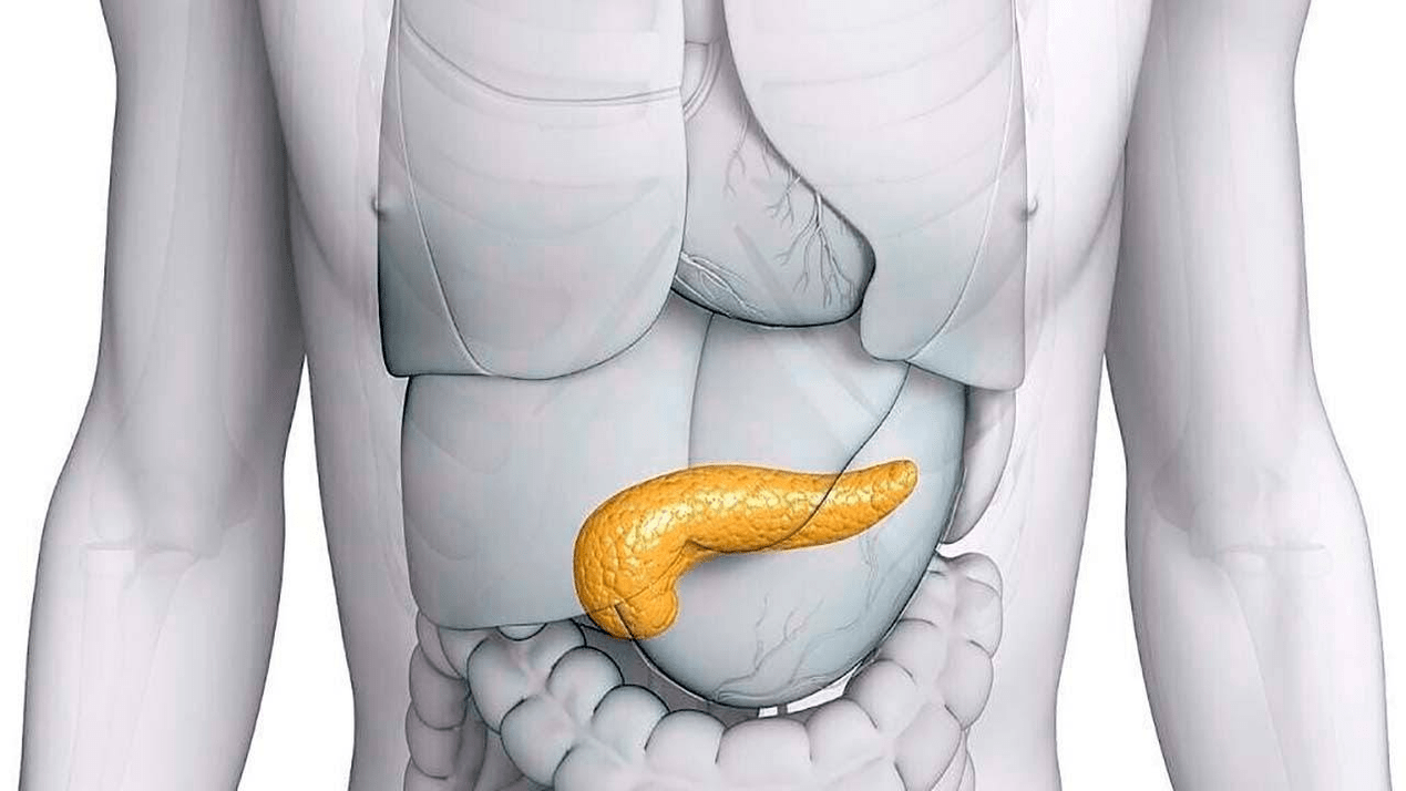 pancréas sain après avoir pris Glucoren